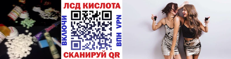 кракен tor  Зверево  ЛСД экстази ecstasy  дарнет шоп 