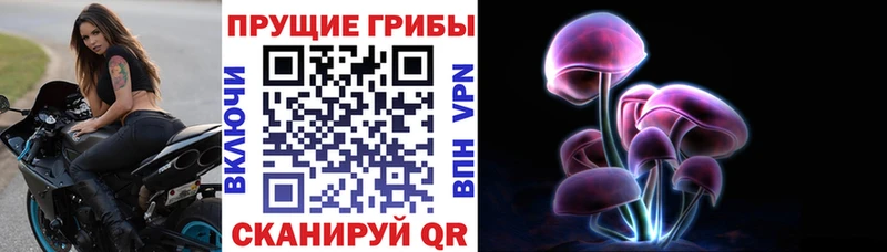 Галлюциногенные грибы MAGIC MUSHROOMS где можно купить Зверево